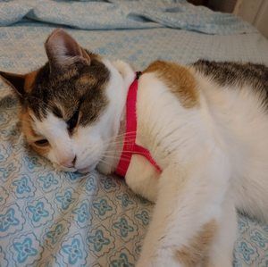 Meet your Posher, Marsha